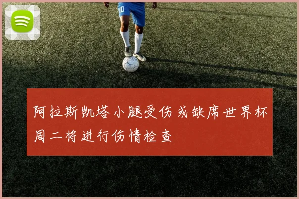 阿拉斯凯塔小腿受伤或缺席世界杯周二将进行伤情检查